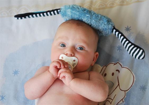 Allt du behöver veta om Bibs napp